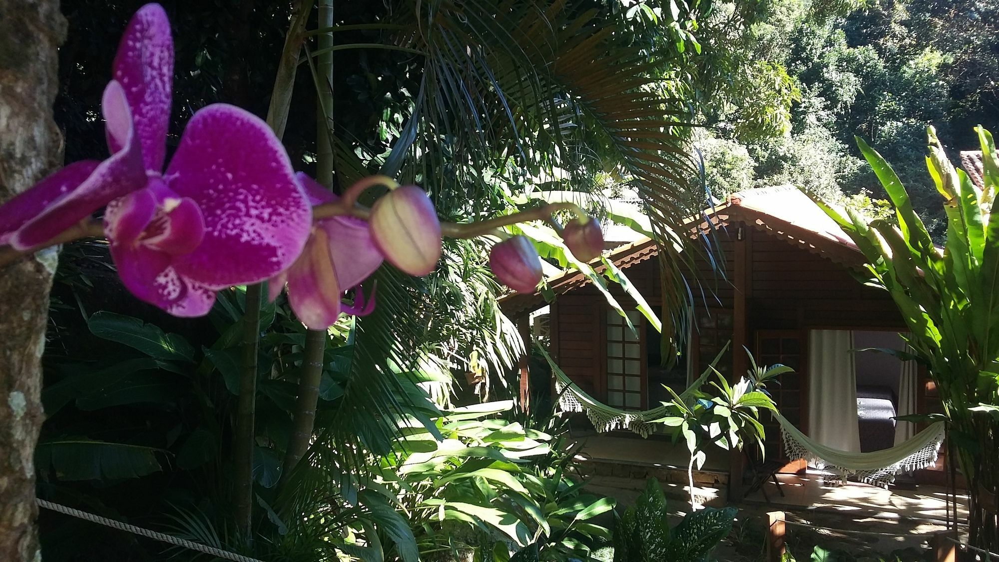 Pousada Mata Nativa Abraão Esterno foto